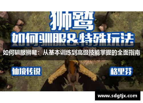 如何驯服狮鹫：从基本训练到高级技能掌握的全面指南