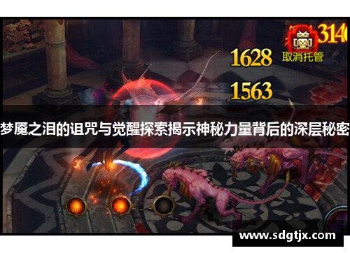 梦魇之泪的诅咒与觉醒探索揭示神秘力量背后的深层秘密